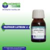 NUPHAR LUTEUM By MASOOD PHARMA