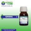 GINSENG QUINQUEFOLIUM By MASOOD PHARMA