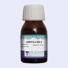 Chimaphila umbellate Q