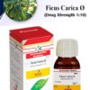Ficus Carica Ø | Kamal Laboratories