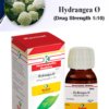 HYDRANGEA Ø  | Kamal Laboratories